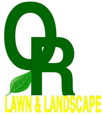 WhatsApp_Image_2026-01-05_at_7.35.14_PM-removebg-preview