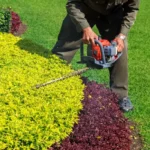 How to Request Landscaping Service in Kansas City: A Homeowner’s Guide