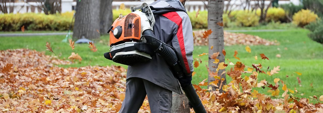 Man worker clean the city street with leaf blower. Falling leaves removal in autumn park