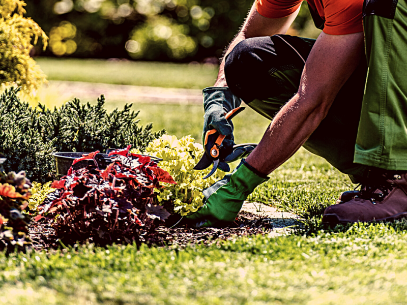 LANDSCAPE-MAINTENANCE