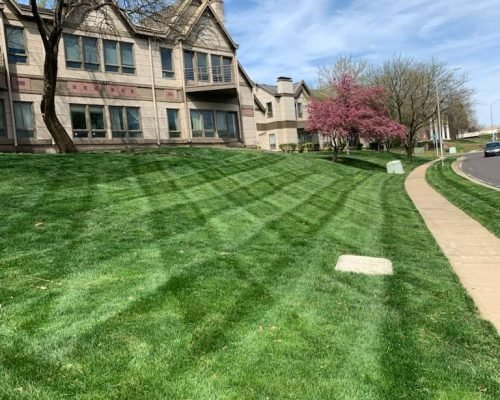 WhatsApp Image 2026-01-05 at 7.35.14 PM (2)