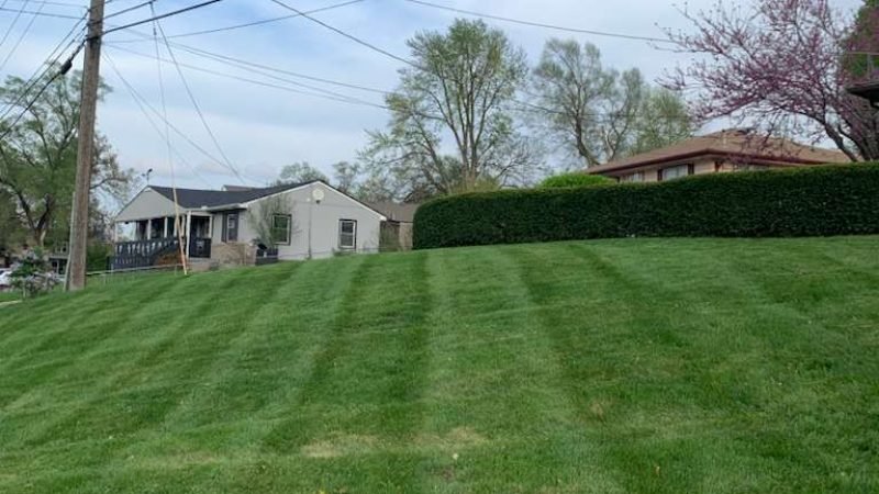 WhatsApp Image 2026-01-05 at 7.35.15 PM