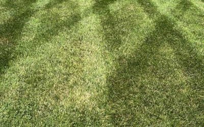 WhatsApp Image 2026-01-05 at 7.35.16 PM (2)