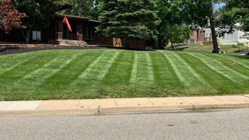 WhatsApp Image 2026-01-05 at 7.35.17 PM (2)