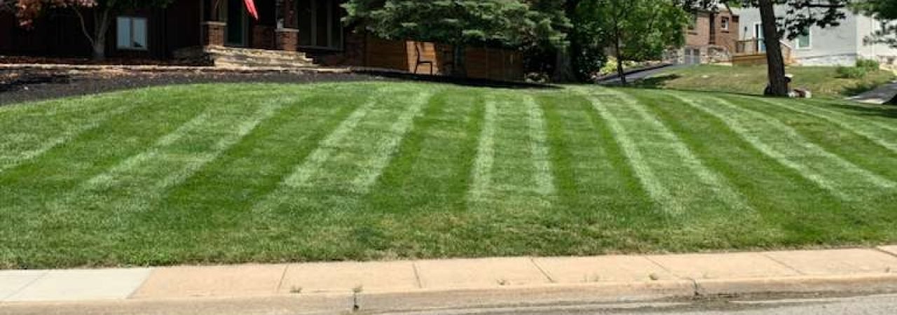 WhatsApp Image 2026-01-05 at 7.35.17 PM (2)