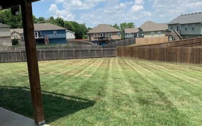 WhatsApp Image 2026-01-05 at 7.35.18 PM (1)