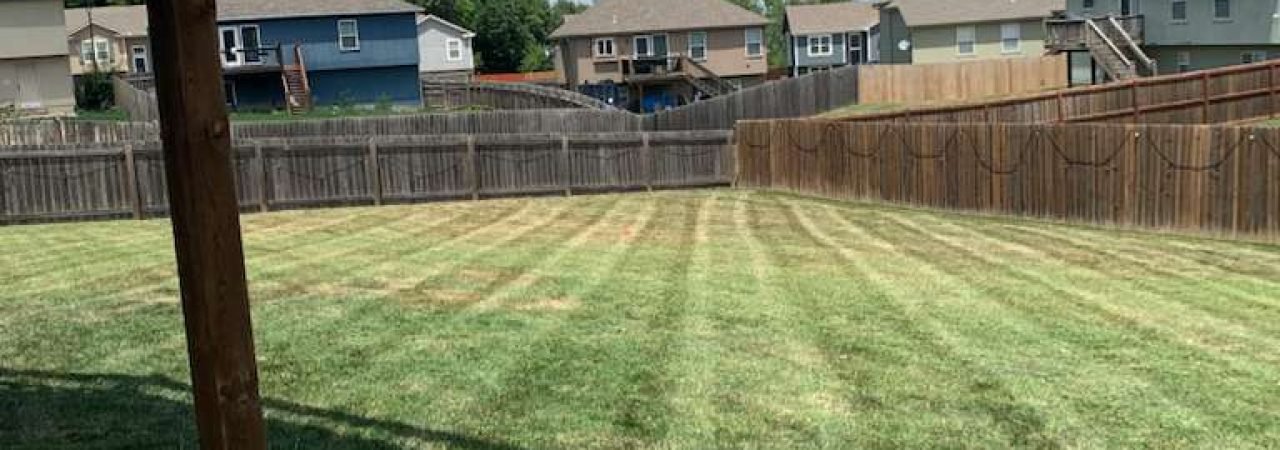 WhatsApp Image 2026-01-05 at 7.35.18 PM (1)