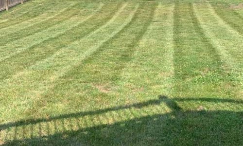 WhatsApp Image 2026-01-05 at 7.35.18 PM