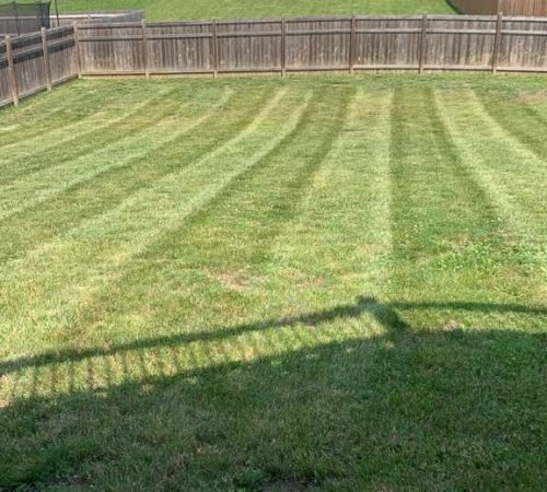 WhatsApp Image 2026-01-05 at 7.35.18 PM