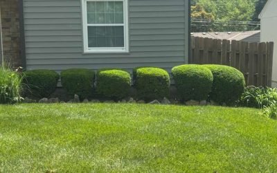 WhatsApp Image 2026-01-05 at 7.35.30 PM (1)