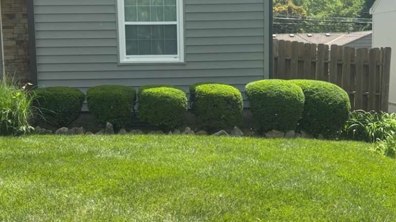 WhatsApp Image 2026-01-05 at 7.35.30 PM (1)