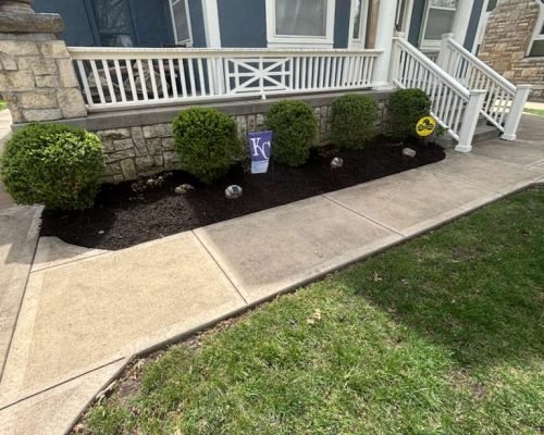 WhatsApp Image 2026-01-05 at 7.35.31 PM (1)