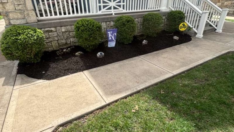 WhatsApp Image 2026-01-05 at 7.35.31 PM (1)