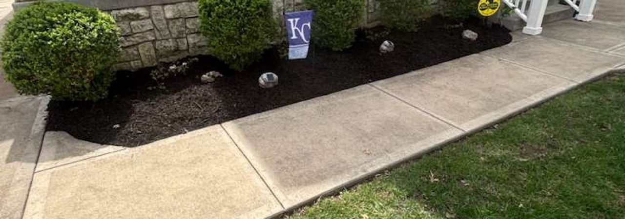 WhatsApp Image 2026-01-05 at 7.35.31 PM (1)