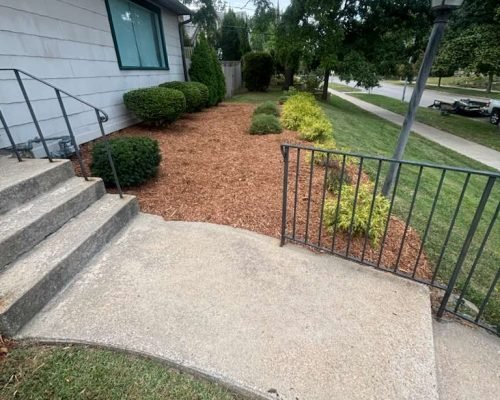 WhatsApp Image 2026-01-05 at 7.35.31 PM