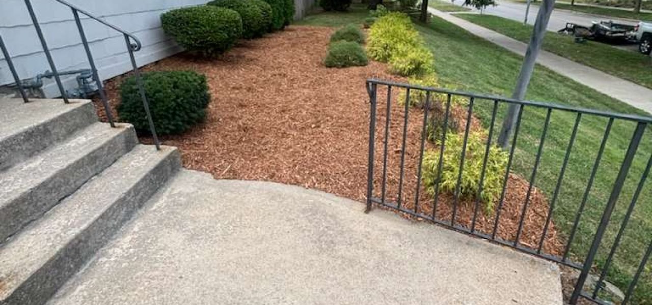 WhatsApp Image 2026-01-05 at 7.35.31 PM