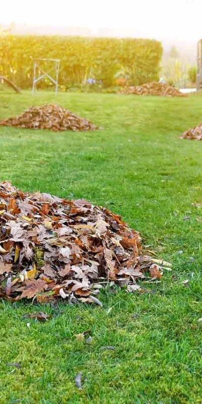 shutterstock_2075488966-1280w