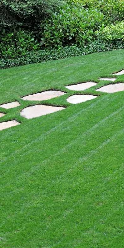 steppingstones_overseeding