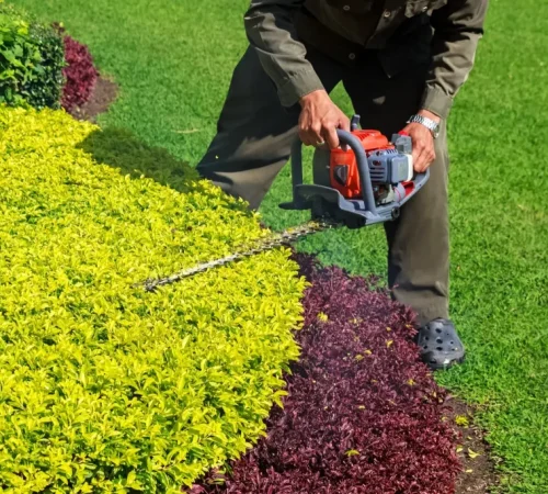 victory-shrub-trimming-1024x683